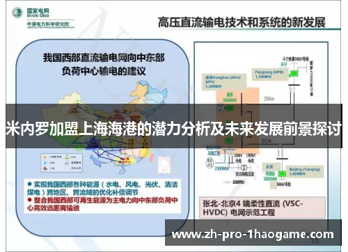 米内罗加盟上海海港的潜力分析及未来发展前景探讨