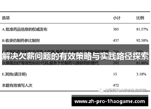 解决欠薪问题的有效策略与实践路径探索