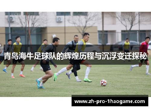 青岛海牛足球队的辉煌历程与沉浮变迁探秘 青岛海牛足球队的辉煌历程与沉浮变迁探秘