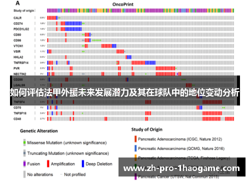 如何评估法甲外援未来发展潜力及其在球队中的地位变动分析 如何评估法甲外援未来发展潜力及其在球队中的地位变动分析